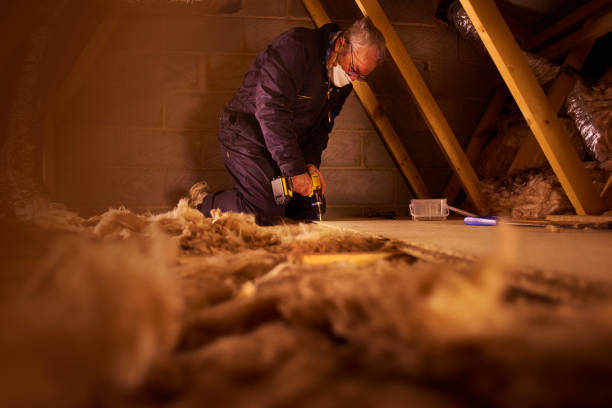 Best Professional Insulation Contractor  in Pratt, KS